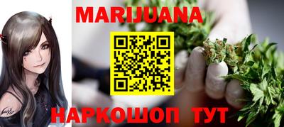 сатива Шахты