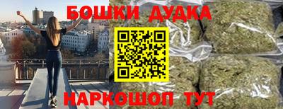 сатива Шахты