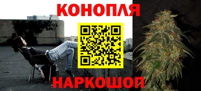 дмт Шелехов