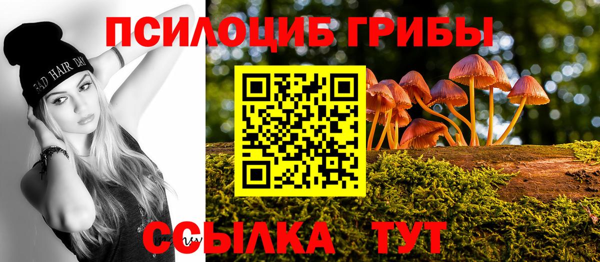 Галлюциногенные грибы Cubensis Гуково