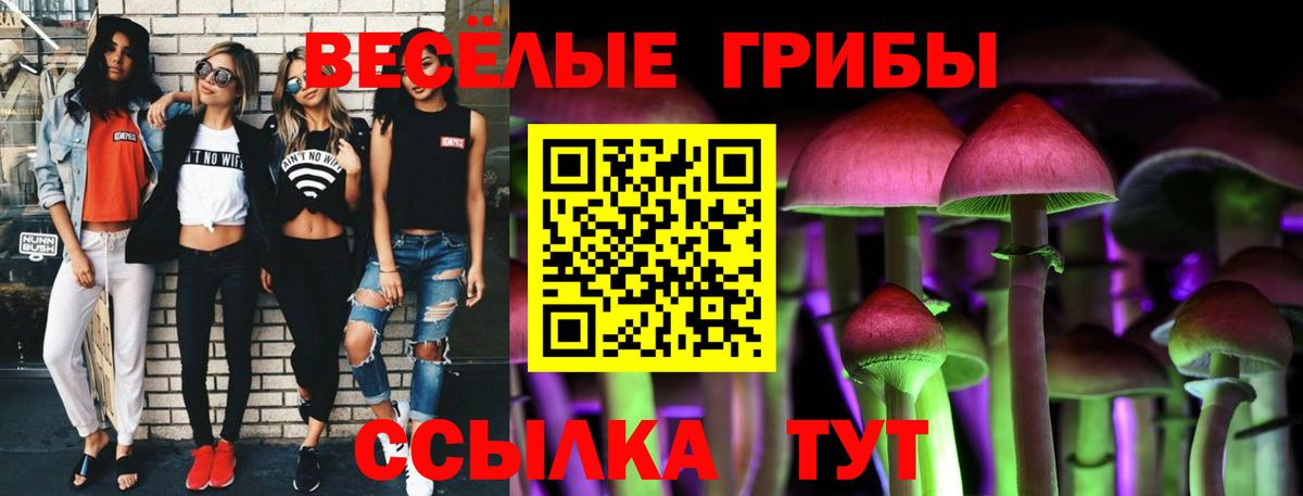 Галлюциногенные грибы мухоморы  Галлюциногенные грибы GOLDEN TEACHER  Вход с VPN  Гуково 